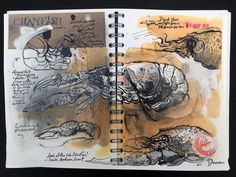 an open sketchbook with drawings and writing on it's pages, including images of animals