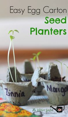 seed planters with the words easy egg carton seed planters written on them