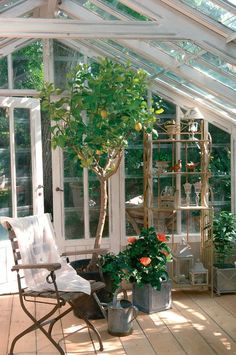 a chair and potted plant in a room filled with glass walls that have windows