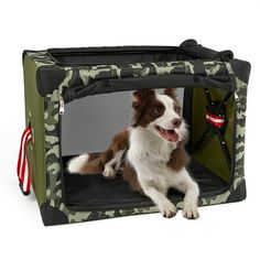 a brown and white dog sitting in a green camouflage crate