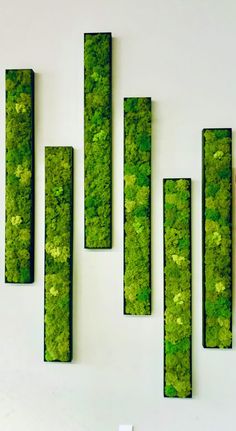 green moss covered wall hangings on the side of a white wall