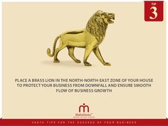 a gold lion statue with the words, place brass in the north - east zone of your house to protect your business from downfall