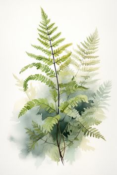 a fern leaf is shown in this watercolor painting by artist markie kraut