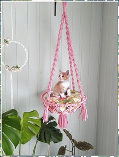 Find the ideal cat bed for your furry friend on Amazon. Cat Hammock Tutorial, Hammock Diy, Diy Cat Hammock, Diy Cat Bed, Pola Macrame, Diy Hammock, Macrame Plant Hanger Tutorial, Diy Cat Toys