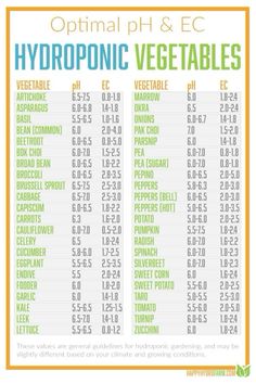 an info sheet for hydroponic vegetables with the names and numbers in green, blue,