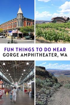 there are many things to do near george amphitheater, wa