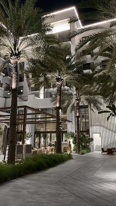 palm trees in front of a building at night