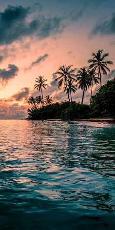 the sun is setting over an island with palm trees in the background and water below