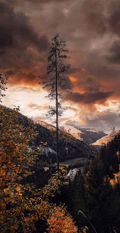 the sky is very cloudy and there are trees in the foreground with mountains in the background