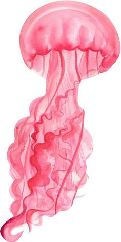 a watercolor painting of a pink jellyfish