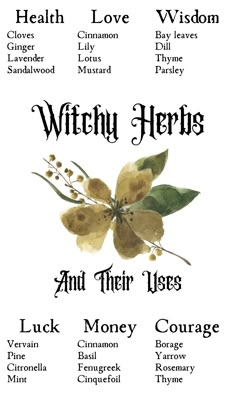 Earth element herbalism for witchcraft and wicca #witch #witchcraft #pagan #wicca Herbs And Their Uses, Herbs And Plants, Earth Element