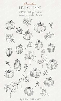 an illustration of pumpkins and leaves on a white background with the words, line clipart