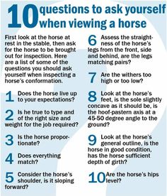 a poster with the words 10 questions to ask yourself when viewing a horse