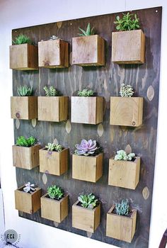 wooden planters are arranged on a wall with succulents and plants in them