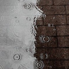 a brick sidewalk with water puddles on it