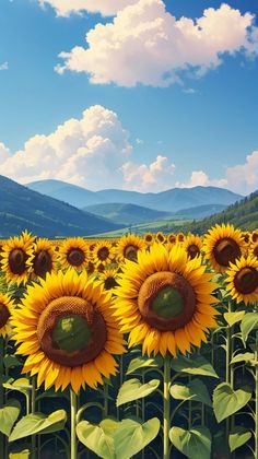 a field of sunflowers with mountains in the background