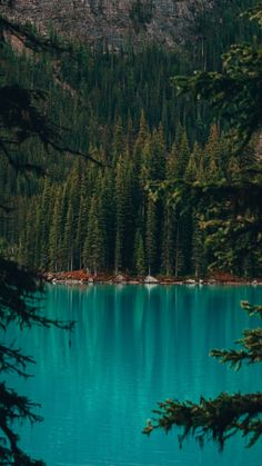 a lake surrounded by pine trees and mountains