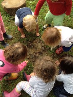 several children are playing in the grass together