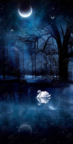 a white swan floating on top of a lake under a moon filled sky