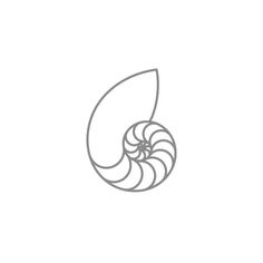 an abstract line drawing of a nautish shell on a white background with copy space