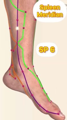 Spleen Meridian, Accupuncture Points, Meridian Acupuncture, Healing Reflexology, Full Body Massage Techniques, Pressure Point Therapy, Meridian Points, Body Massage Techniques, Massage Therapy Techniques