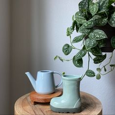 a potted plant sitting on top of a wooden table next to a watering can