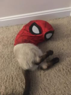 a cat wearing a spider man costume laying on the floor