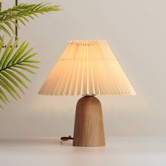 a wooden table lamp next to a potted plant on top of a white surface