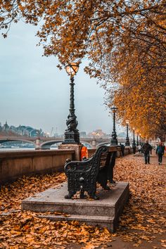 a bench sitting on top of a sidewalk covered in leaves