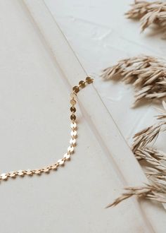 A beautiful 14kt Gold Fill confetti disc bracelet. Delicate 14k Gold Filled Choker, Dainty 14k Gold Filled Chain Choker Necklace, Gold Metal Dainty Choker, Hypoallergenic Dainty Gold-filled Chain Bracelet, Adjustable Dainty Gold-plated Choker, Everyday Wear Jewelry, Jewelry Photography Styling, Statement Choker, Lace Bracelet