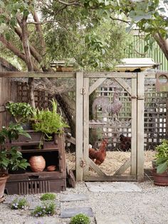 an outdoor area with various plants and animals in the fenced off area, including chickens