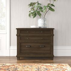 a plant in a vase sitting on top of a wooden dresser next to a rug