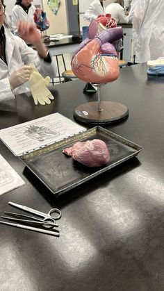 two people in white lab coats are working on an organ model with scissors and other medical equipment