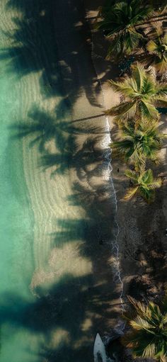 an aerial view of the beach and palm trees