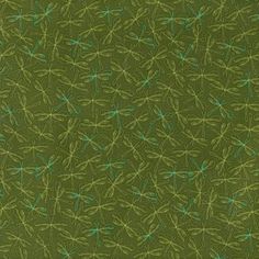 an image of a green background with small stars and leaves on the bottom half of it