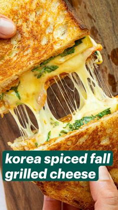 a person holding a grilled cheese sandwich in their hand with the caption korea spiced fall grilled cheese