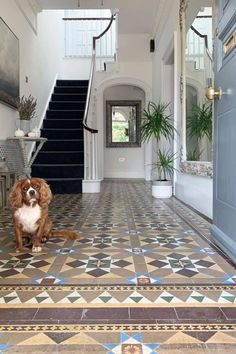 a dog is sitting on the floor in front of some stairs and potted plants