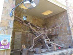 the inside of a building with logs and other things on display in front of it