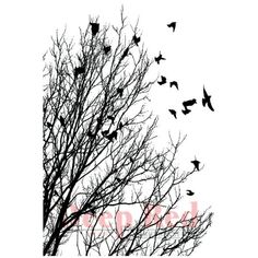 a flock of birds flying over a tree with no leaves on it's branches