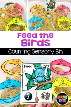 feed the birds counting and sorting activity for toddlers to learn how to count numbers