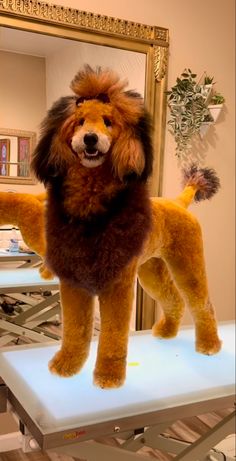 a stuffed dog standing on top of a table in front of a mirror with its mouth open