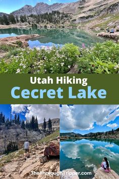 the utah hiking secret lake is surrounded by wildflowers and mountains