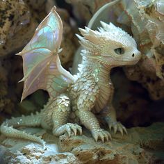 a white dragon figurine sitting on top of a rock next to some rocks