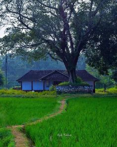 a house sitting in the middle of a lush green field next to a dirt path