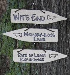 three wooden signs are hanging on a tree