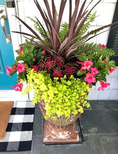 a potted plant with pink and green flowers on the front door mat next to a blue door