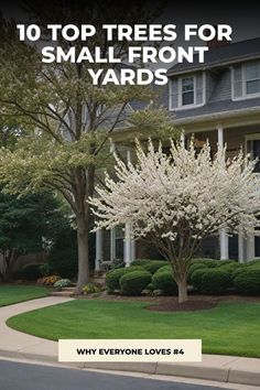 a white flowering tree in front of a house with the words 10 top trees for small front yards