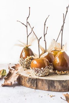 four caramel apples are sitting on a piece of wood with some leaves around them