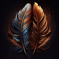 two colorful feathers on a black background, one is orange and the other is blue