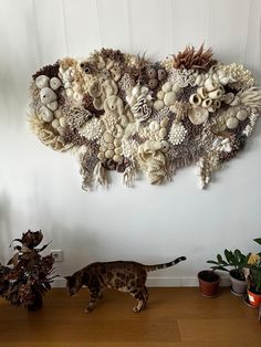 a cat is walking on the floor in front of a wall made out of shells